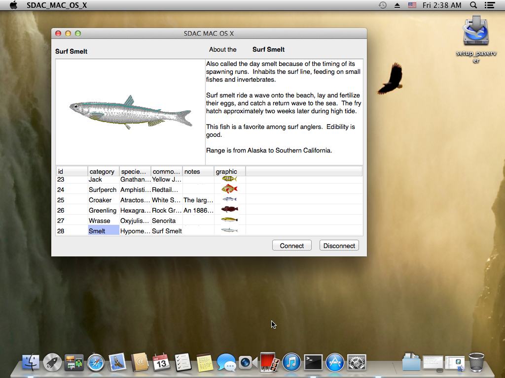Executing MAC OS X application