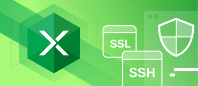 SSL and SSH Support for Direct Oracle Connections in Excel Add-ins 2.5