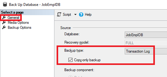 Selecting the Copy-only backup option