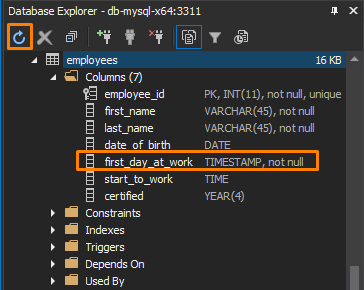 View the changed data type in Database Explorer