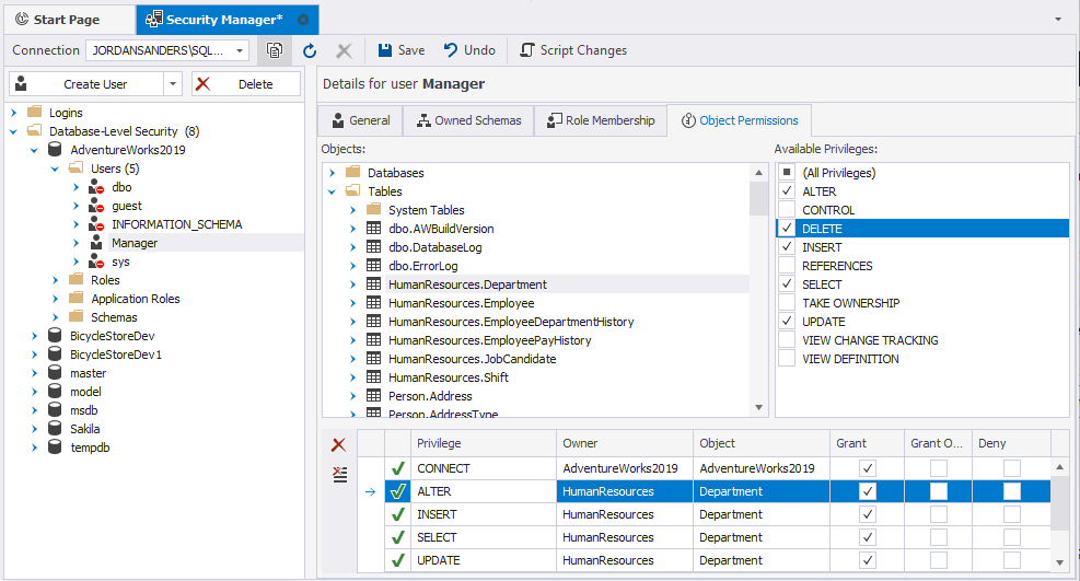 Grant privileges to the user in Security Manager