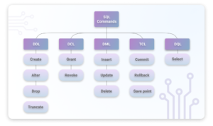 SQL vs NoSQL: What’s the Difference Between Them?