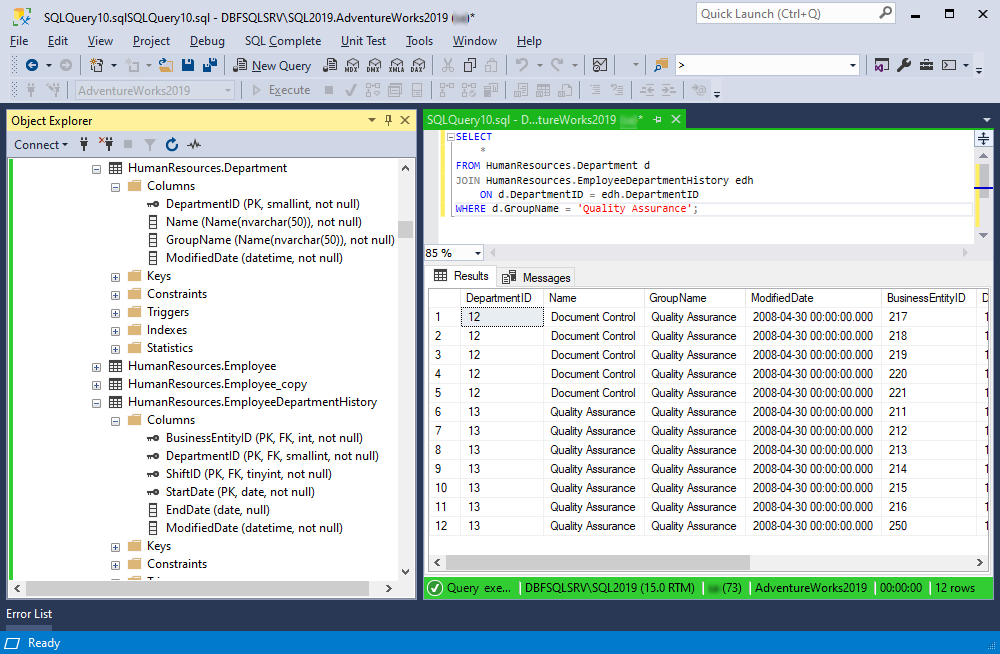 Execute the query in SSMS