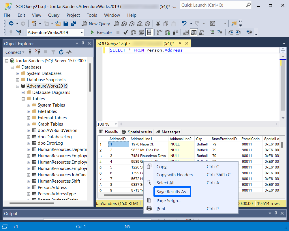 Vb Net Export Sql Query Results To Excel