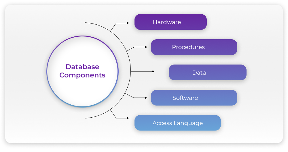 Main Components Of A Database