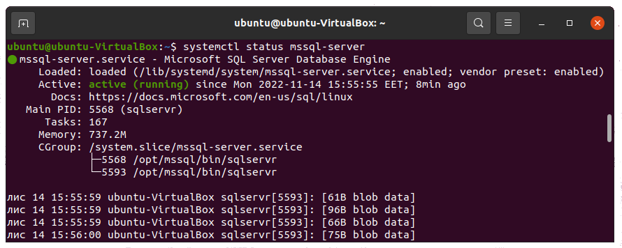 Check the mssql service on Linux