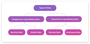 Understanding Data and Metadata - Role and Key Differences