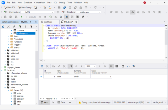 MySQL INT (INTEGER) Data Types with Different Examples