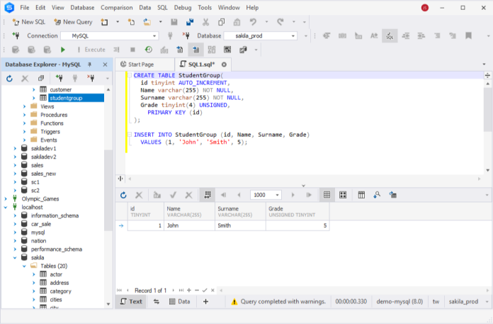 MySQL INT (INTEGER) Data Types with Different Examples