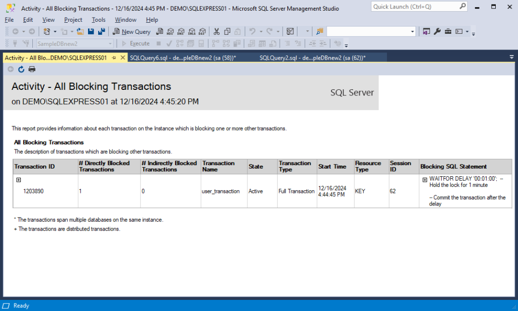 The generated report with all blocking transactions