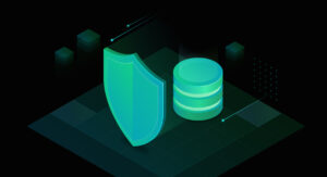 database protection